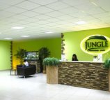 Jungle (Джангл)