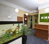 Стоматологическая клиника Кисс