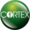 Cortex (Кортекс)