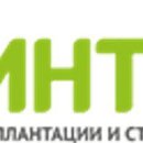 Интан на Восточно-Кругликовской