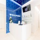 Wellpoint (Вэллпойнт)