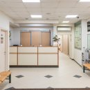 Чудо Доктор (Дополнительный филиал) на Школьной улице, 11