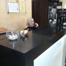 Апельсин