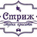 Стриж