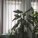 Стоматологический центр