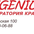 Ingenium