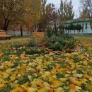 Тарнаир