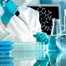Invitro на Победы