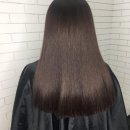 Beauty Studio Butterfly