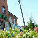 Ревиталь