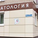 Факел