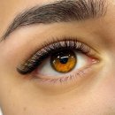 X Lashes by Hanna (Икс лэшес бай Ханна)