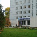 Ниифки на улице Залесского, 6 к 9