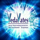 Veda vates-целебный мир