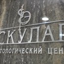 Эскулапдент