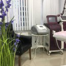 Нарцисс на улице Архитектора Власова