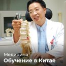 Академия 21