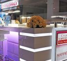 Студия маникюра Лены Лениной в ТРЦ «Атлантис»