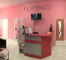 Flamingo (Фламинго)