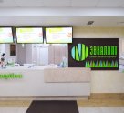 «Эвкалипт»