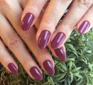 Lavanda nails studio на улице Полярные Зори, 20
