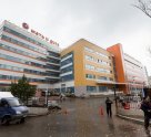 Мать и дитя в Лесном проезде