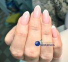Черничка