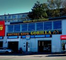 Gorilla