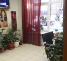 Светлана на улице Белинского, 7б