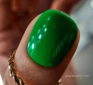 Студия красоты Дарьи Балашовой BALASHOVA BEAUTY STUDIO