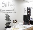 Silk way