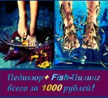 Инь-Янь