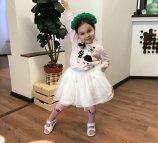 МЕТАИНТЕГРА