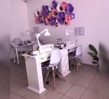 Lexi studio beauty