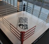 Fight-House WFL