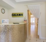 Calamis