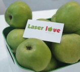 Laser Love в переулке Горького