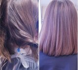 Ветка Сакуры на Ростовской улице
