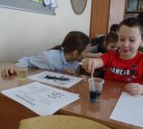 Красноярского НИИЦ сельского хозяйства-обособленное подразделение ФИЦ ИНЦ СО РАН отдел животноводства