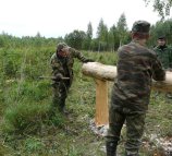 Охотничьего хозяйства и звероводства им. профессора Б.М. Житкова Дальневосточный филиал