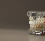 Придонская стоматология