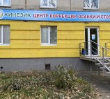 Кинезик