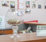 Клиника остеопатии, неврологии и психологии