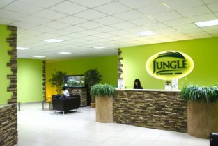 Jungle (Джангл)