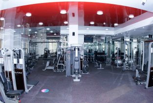 Gold Fitness