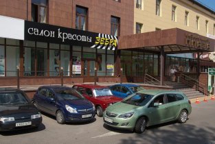 Зебра на Московском