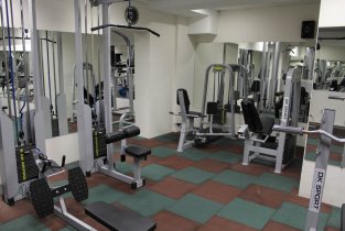 Max Gym (Макс Жим)