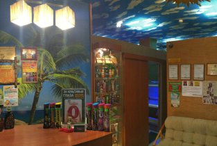 Bora Bora (Бора Бора) на Партизанской