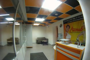 Актив (Барышникова)