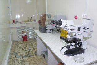 Дневной стационар на Туркестанской улице